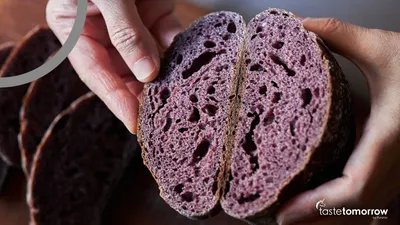 Artisanal sourdough innovations and trends that spark online buzz 